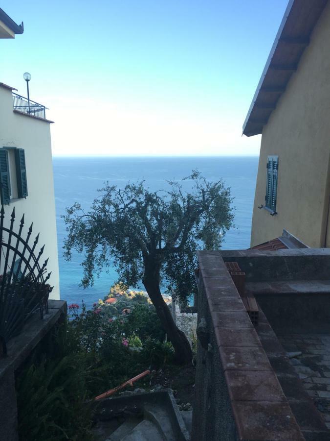 House In Grimaldi. Spectacular View Over The French Riviera! Grimaldi  Esterno foto